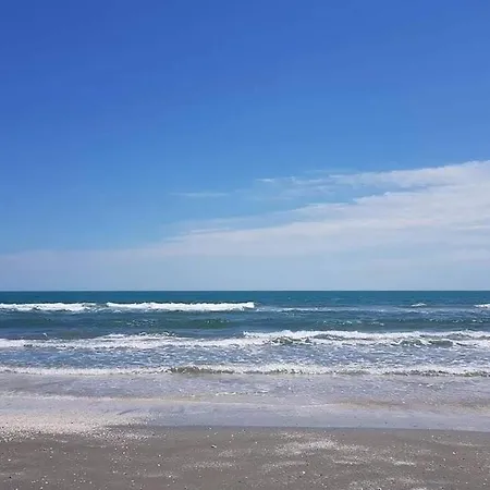 Sole 8 Navodari